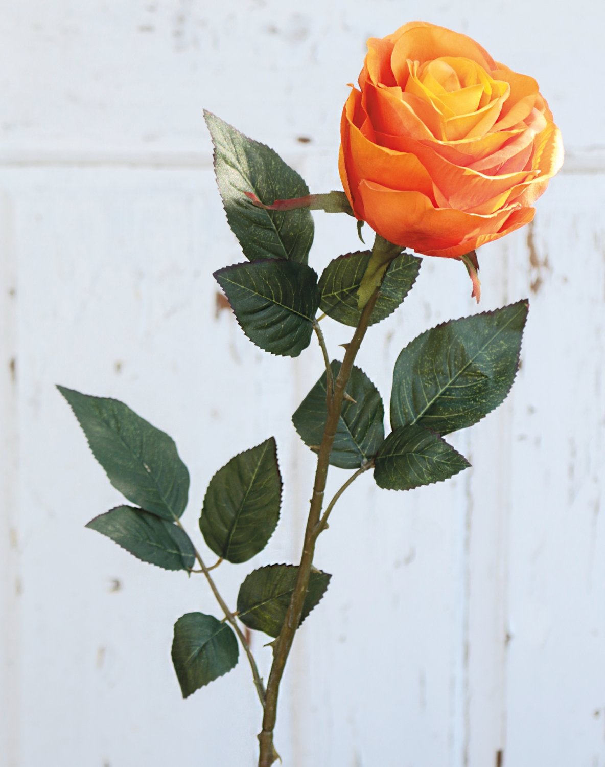 9816 334 a3 Искусственная роза, 90 см, оранжевая H-andreas  - Вид №1