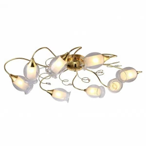 Потолочная люстра Arte Lamp Mughetto A9289PL-8GO ARTE LAMP ДИЗАЙНЕРСКИЕ, MUGHETTO 109053 Белый