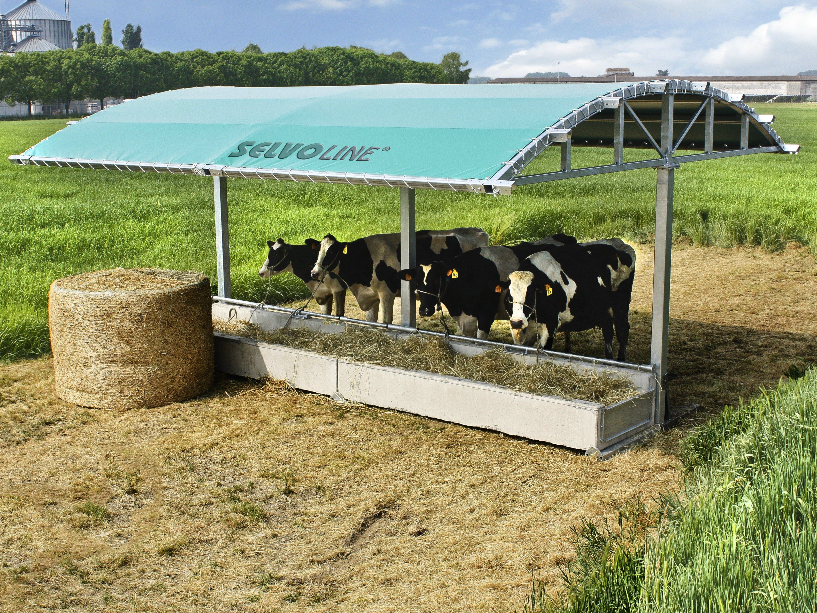 Навес для укрытия и кормления скота SELVOLINA ALPINA ARCH-00023456 - Вид №1