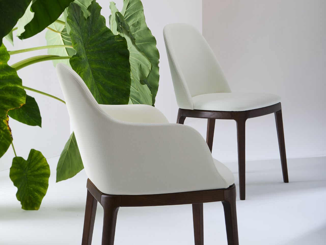 Кожаный стул с подлокотниками Julia Italia София ARCH-00134291 - Вид №5