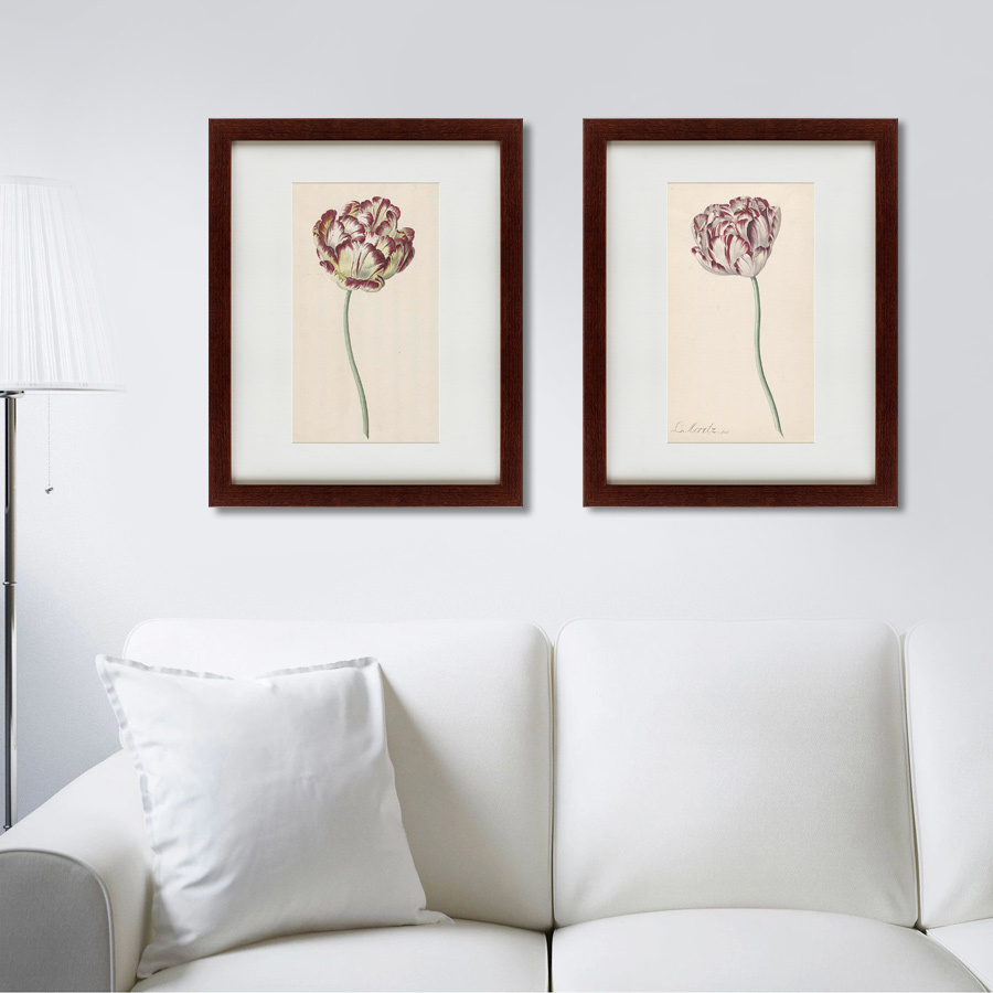 Картина: Tulp №1, 1815 КАРТИНЫ В КВАРТИРУ  135615 Разноцветный  - Вид №2