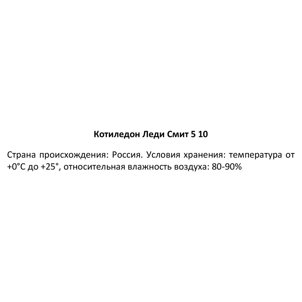 Santreyd Котиледон Леди Смит — изящный суккулент с колокольчатыми цветами 87819706 STLM-0075894 - Вид №3