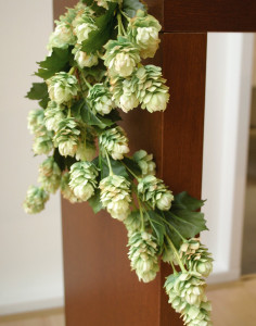 6674 883 a3 Ветка хмеля искусственная, 100 см, зеленая H-andreas 