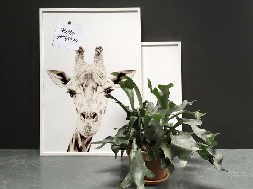 Groovy Magnets Магнитный плакат Animal Pos-62-gi - Вид №4