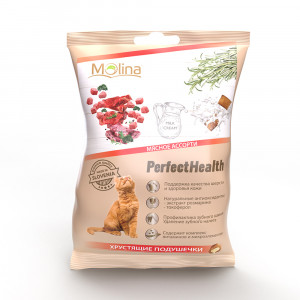 ПР0058732 Лакомство для кошек Хрустящие подушечки Мясное ассорти 50г Molina