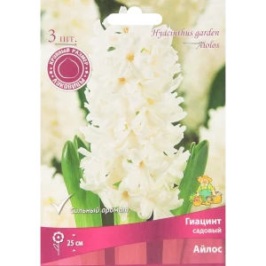 Гиацинт Айлос ПОИСК - белоснежные луковицы для сада, 3 шт 85204906