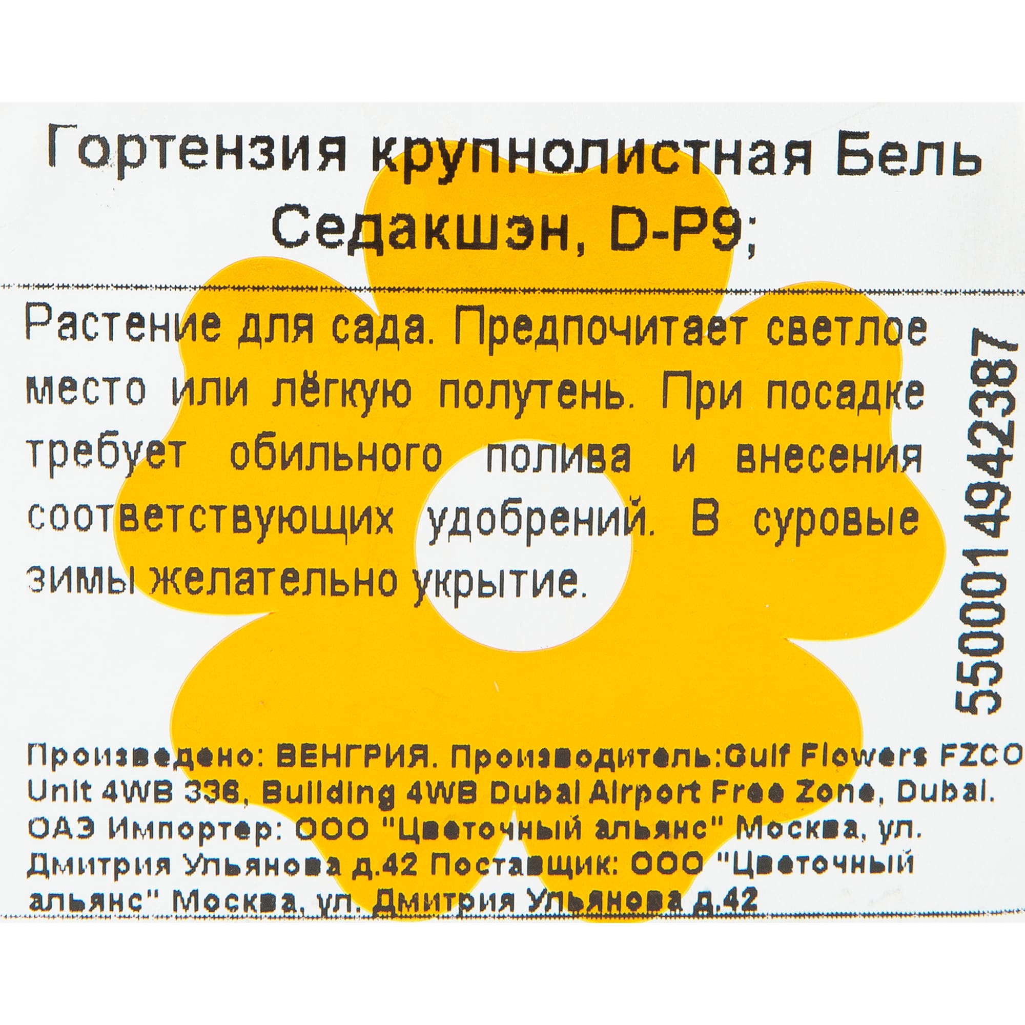 82601824 Гортензия крупнолистная «Бель Седакшэн» 9x20 см Santreyd  - Вид №1