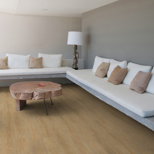 Пробка Wicanders Authentica Elegant Light (Гладкая) 1220х185 мм E1XG001 - Вид №54