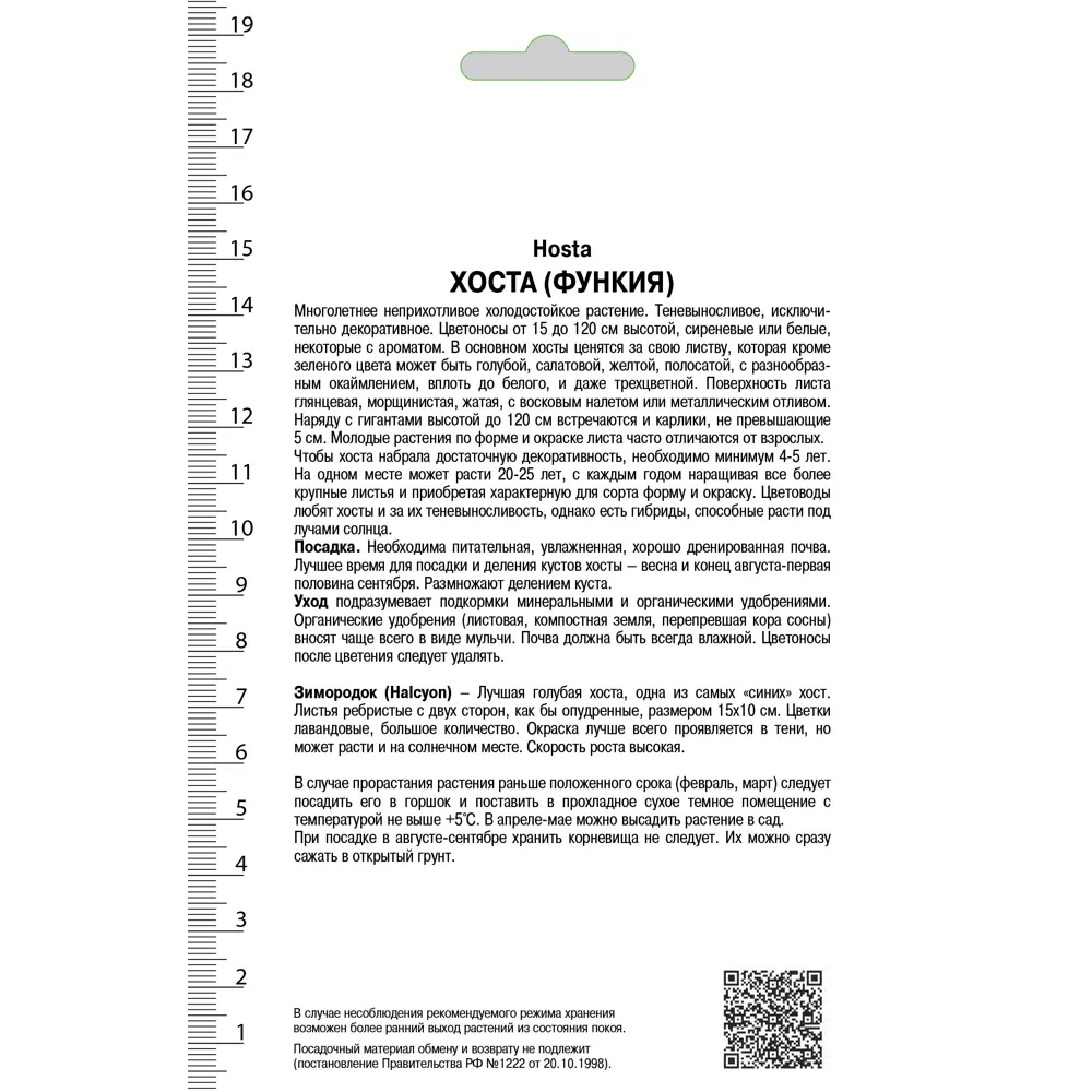 Хоста поздняя «Халцион», 1 шт. 82118742 STLM-2207717 Santreyd  - Вид №1