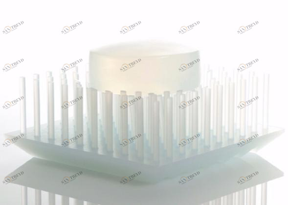 Plus D Силиконовая мыльница sun-id-1507097