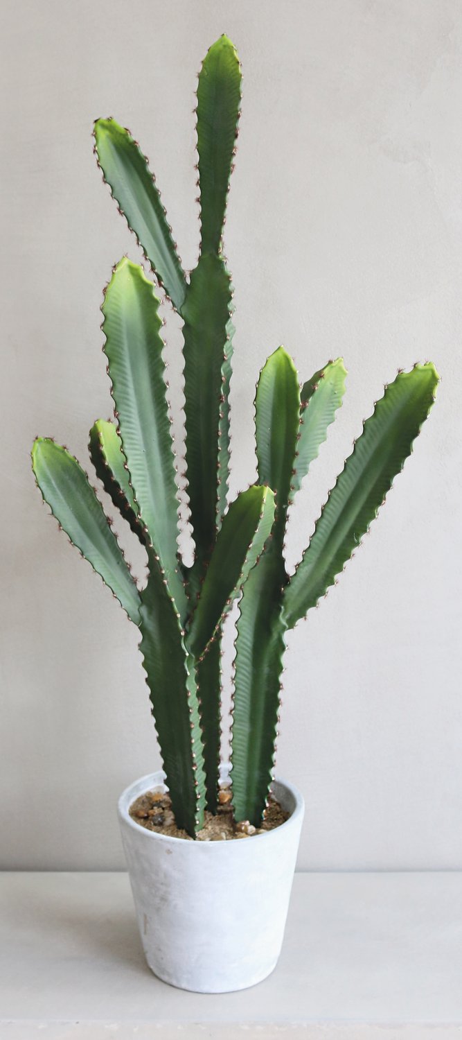 6060 883 a3 Кактус имитация столбика, горшок, 64 см, зеленый H-andreas  - Вид №2
