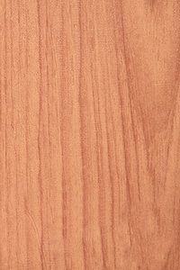Панель ПВХ Вишня вита Ламинированная панель  180мм DEKOR PANEL DP169