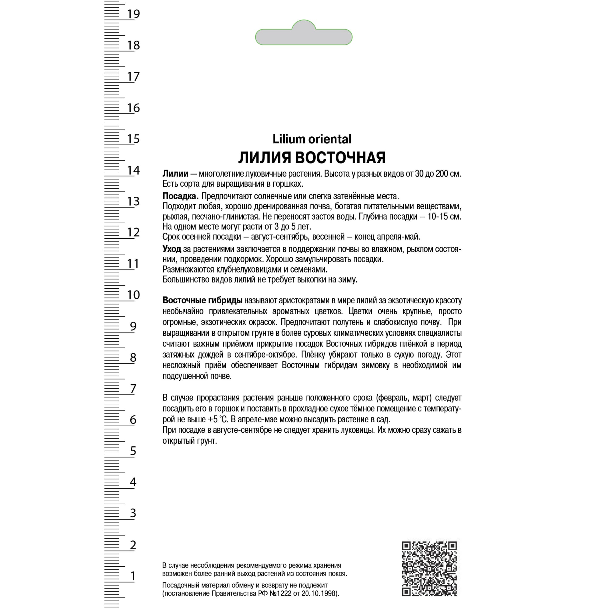 82118706 Лилии восточные «Барбадос», размер луковицы 14/16, 1 шт Santreyd  - Вид №1