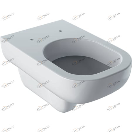 500.211.01.1 Подвесной унитаз настенный Белый Geberit  Германия 