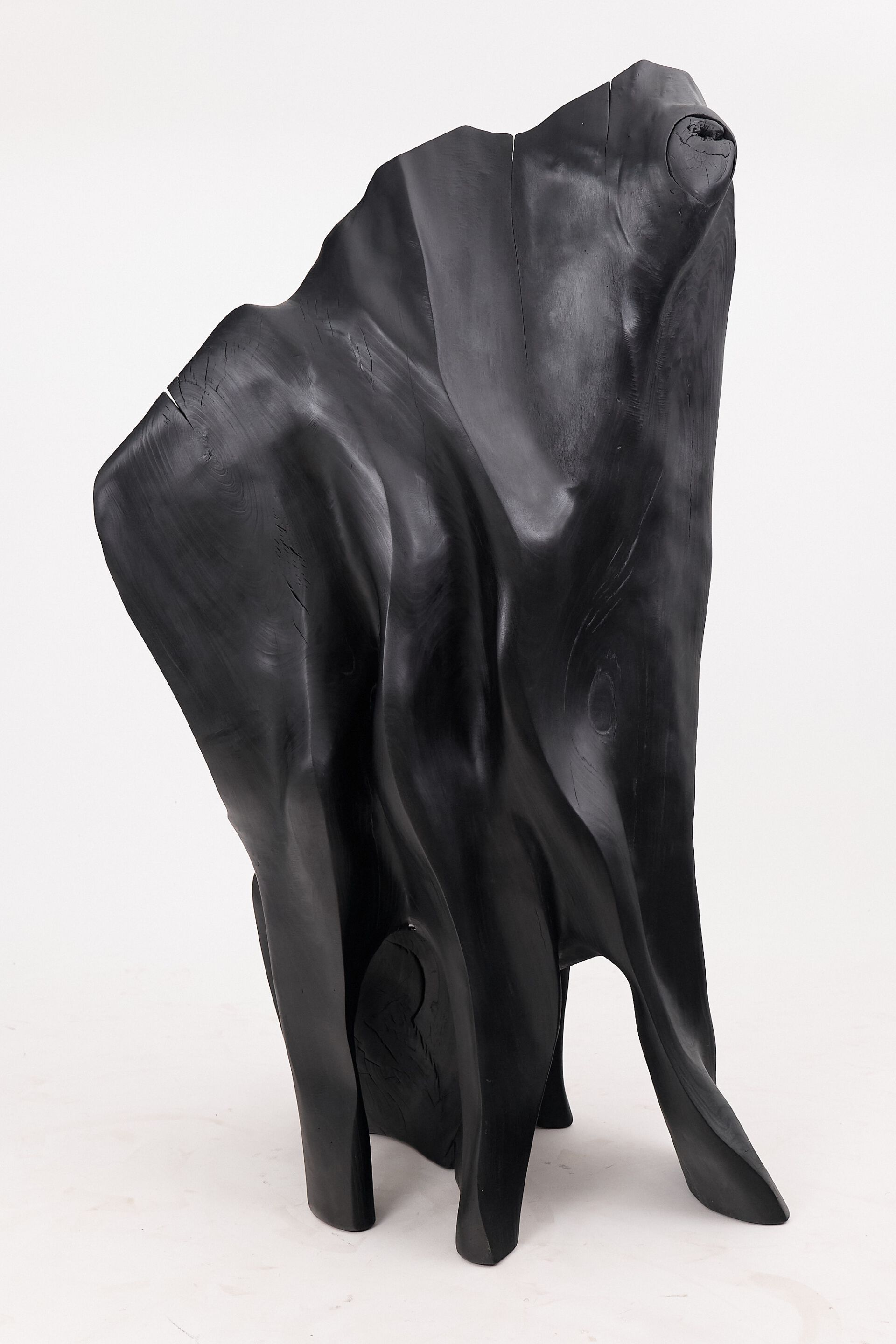 Дубовый стул Logniture XXL THRONE CHAIR ARCH-00015935 - Вид №3