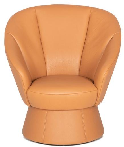 de Sede Поворотное кожаное кресло с подлокотниками Ds-163 sun-id-1452684 - Вид №1