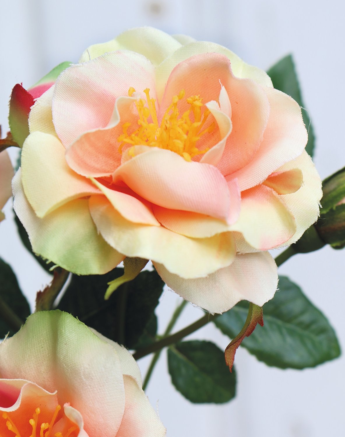 3370 553 a2 Ложная роза 'cornelia', 41 см, абрикос H-andreas 