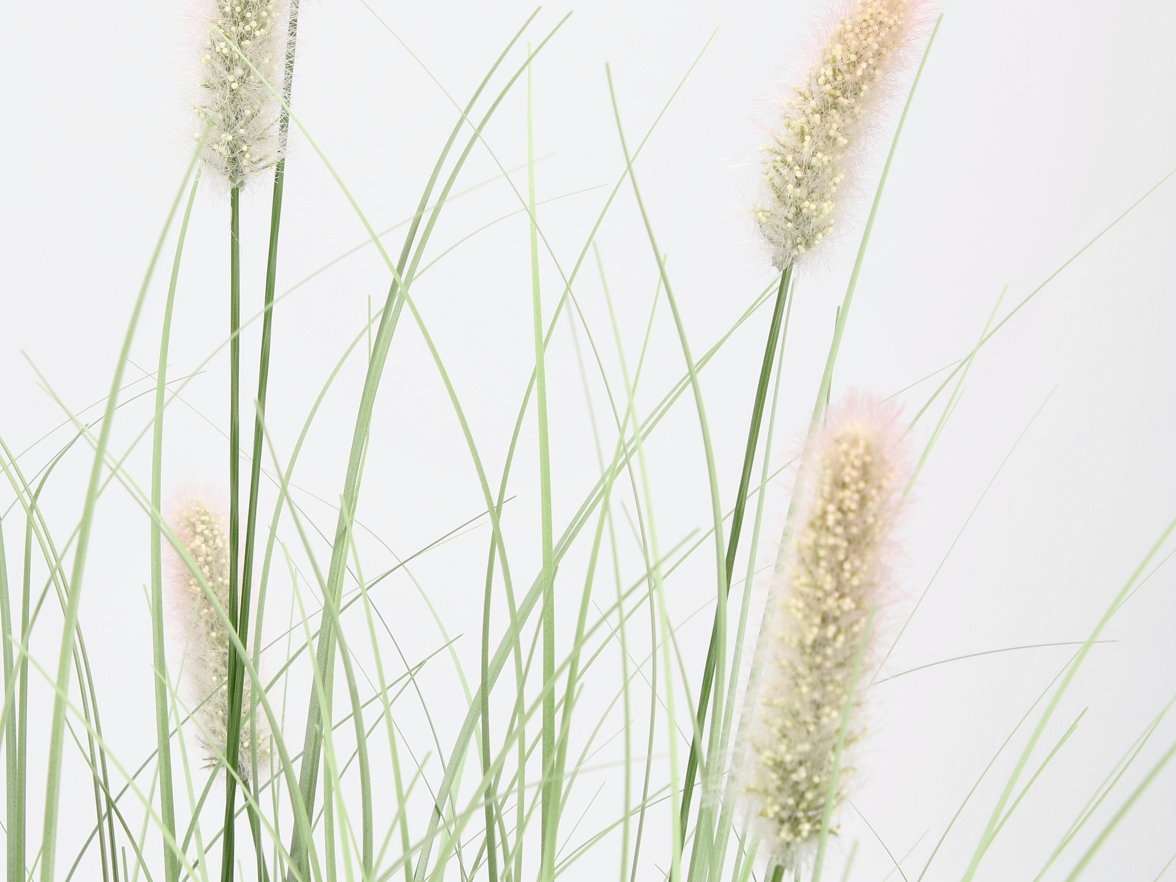 Искусственное растение BIZZOTTO PENNISETUM H90 ARCH-00111784 - Вид №1