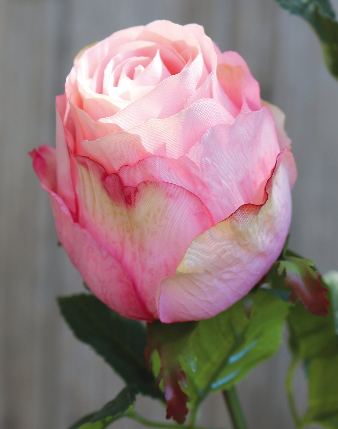 2628 510 a3 Искусственная роза, 1 цветок, 1 бутон, 80 см, розовая H-andreas  - Вид №4