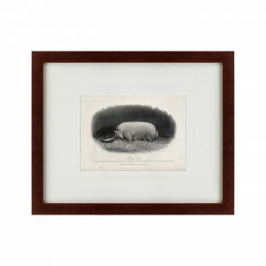 Литография на тонированной бумаге 42х52 см A prize boar, 1867 КАРТИНЫ В КВАРТИРУ  135691 Белый;коричневый;разноцветный