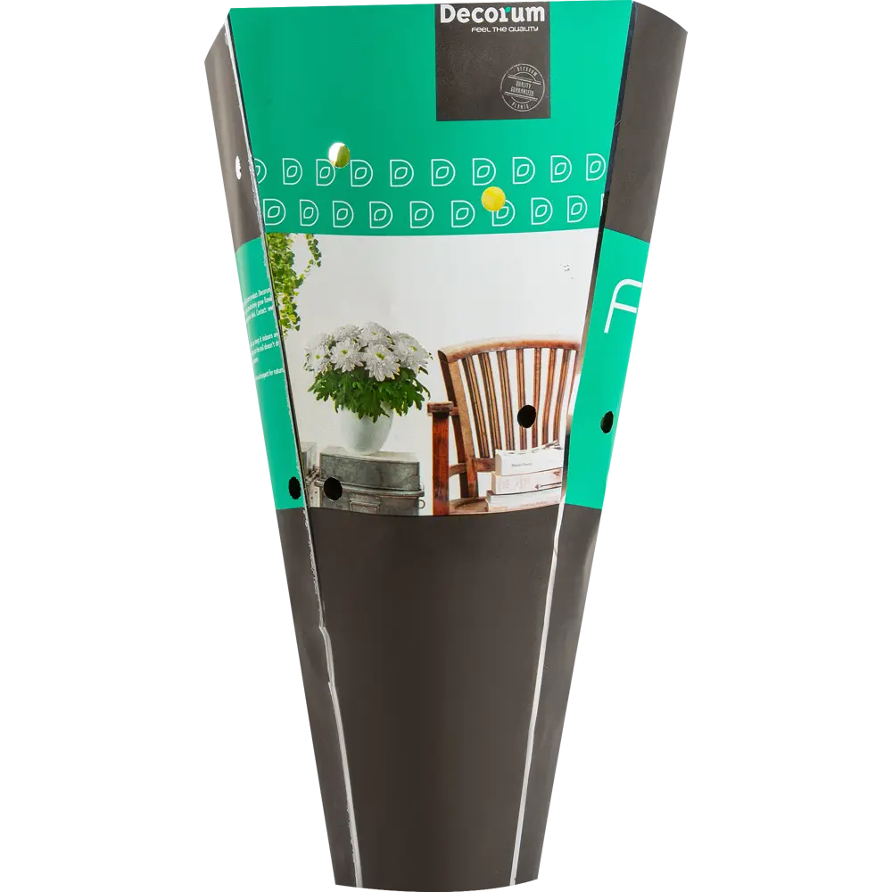 Хризантема Santreyd деко микс - комнатное цветущее чудо 82579927 STLM-0030540 - Вид №3