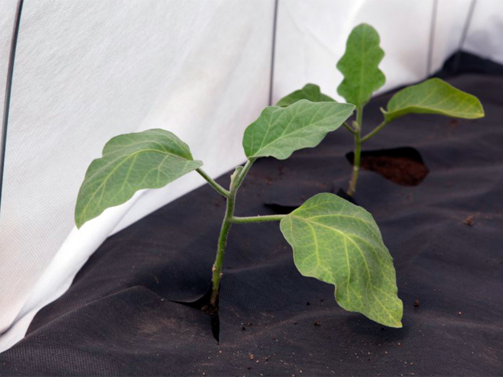 Геотекстиль 150 Строительный и садовый 1,6м x 25м ГеоПластБорд GPBST-108 - Вид №8