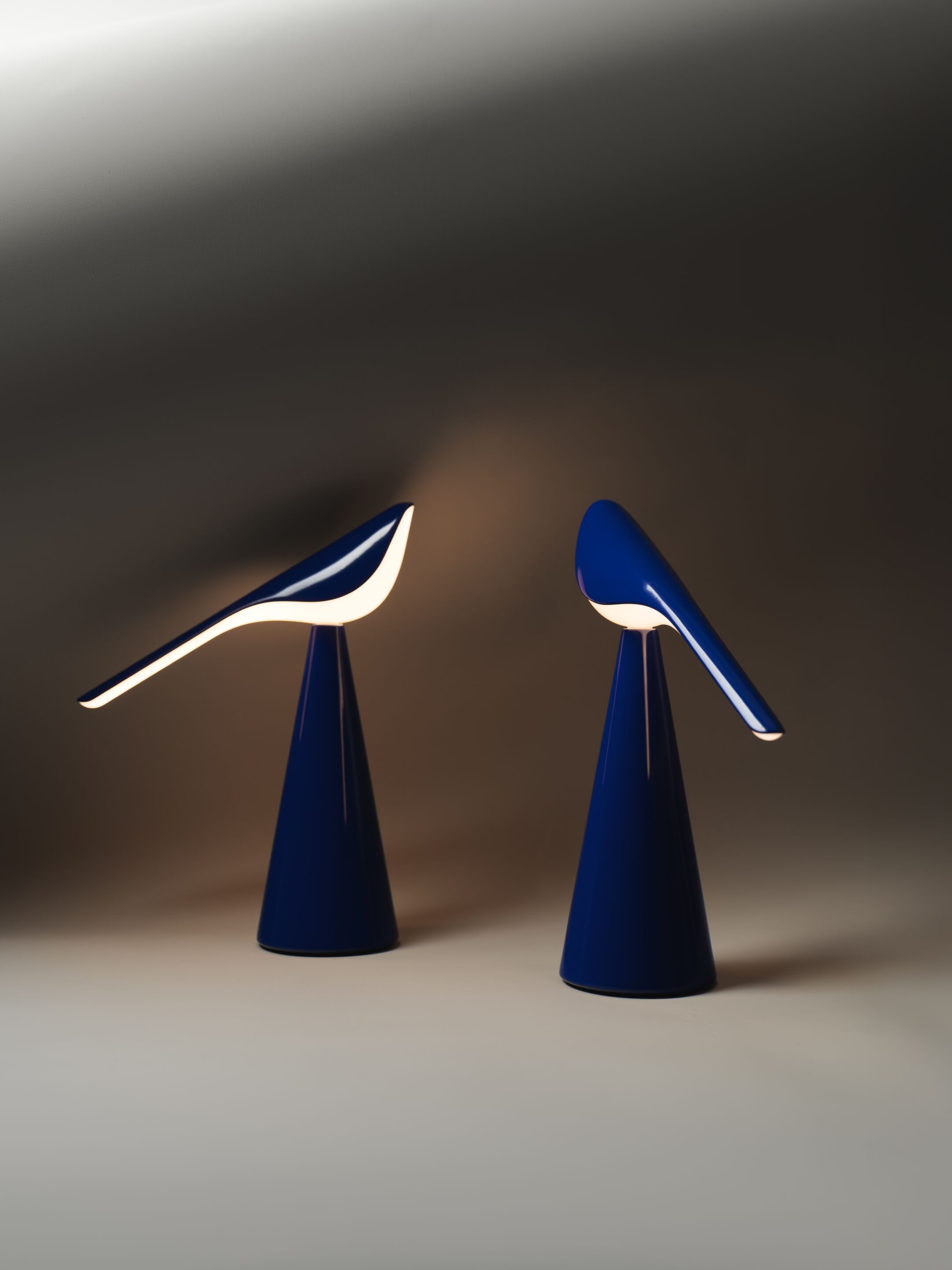 Алюминиевая светодиодная настольная лампа Established&Sons TIKI ARCH-00145932 - Вид №72