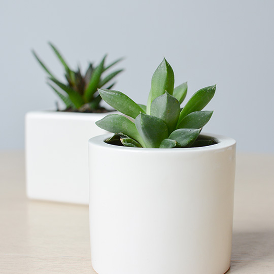 STM-3-03 Подвесное кашпо цилиндр Экочеловеки 