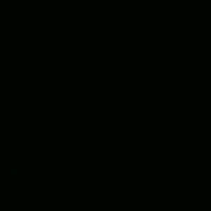 Gres Duo Negro 33.3х33.3