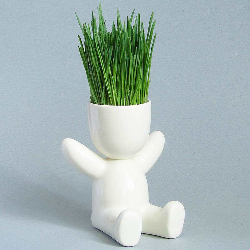 Набор для выращивания Eco Малыш ЭКОЧЕЛОВЕКИ 1002 - Вид №8