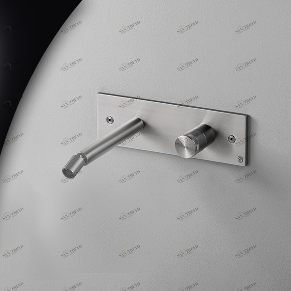 Смеситель для биде настенный HIRO HIR19S серебристый матовый Radomonte