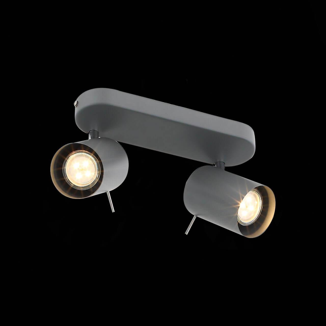 Светодиодный спот серый ST Luce Fanale SL597.701.02 ST LUCE FANALE 00-3926600 Серый  - Вид №2