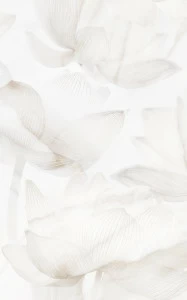 Керамическая плитка BIANCO 125701 25х40 см PiezaROSA