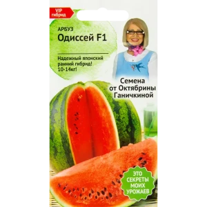 Семена Арбуз «Одиссей» F1 5 шт.