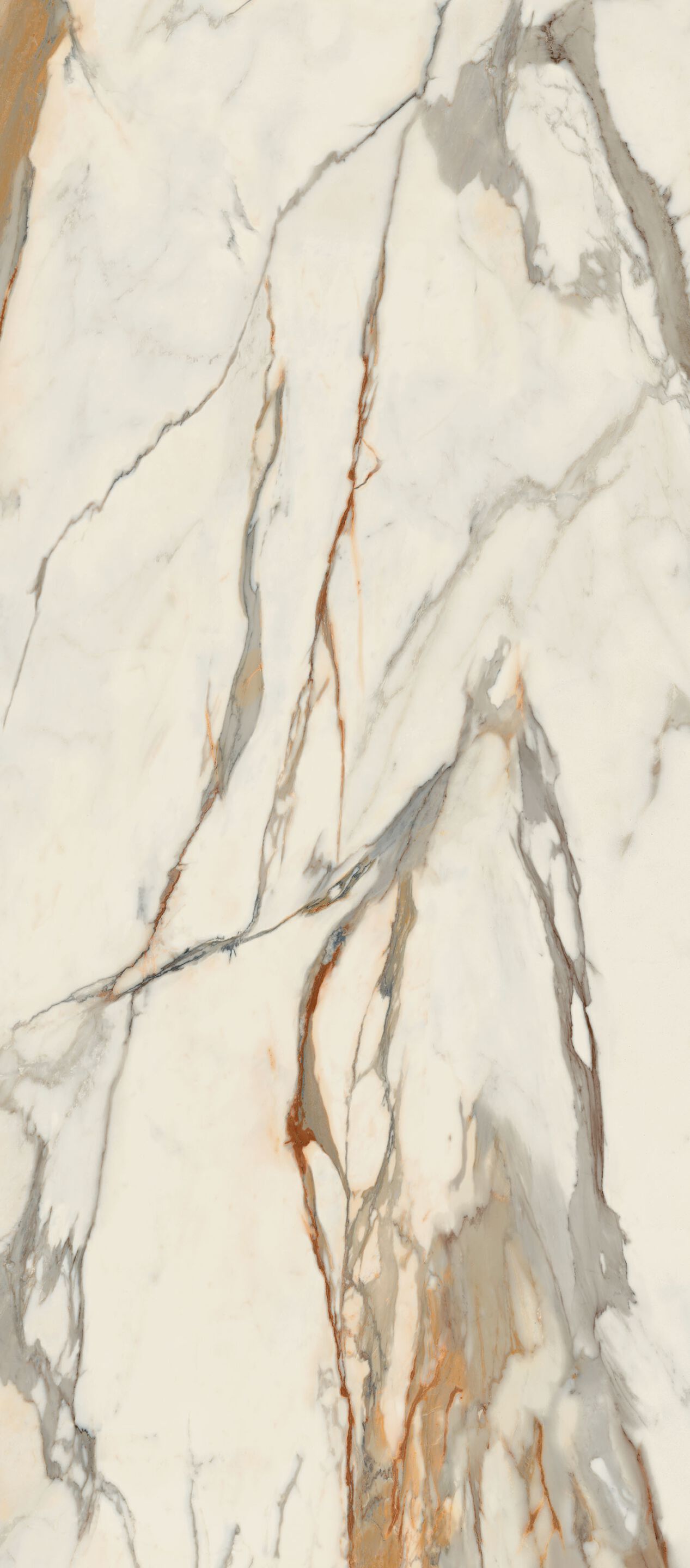 Пол / керамогранит с мраморным эффектом CERAMICA FONDOVALLE Infinito 2.0 ARCH-00067524 - Вид №5