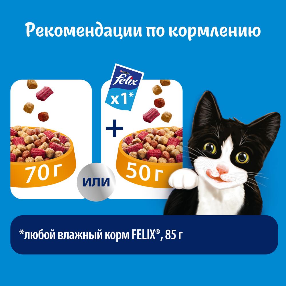 ПР0042239 Корм Двойная Вкуснятина с мясом, сух. 750 г FELIX  - Вид №6