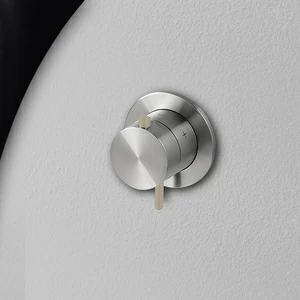 Термостат для душа матовая сталь с бежевой ручкой Toki Radomonte TER51SCIL18