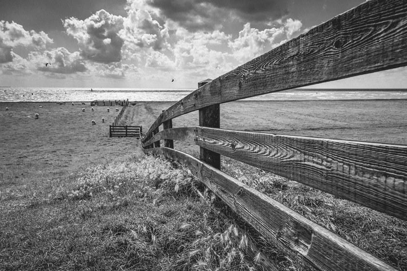 MOMENTI Авторский художественный принт Crazy home paintings An-001 - Вид №1