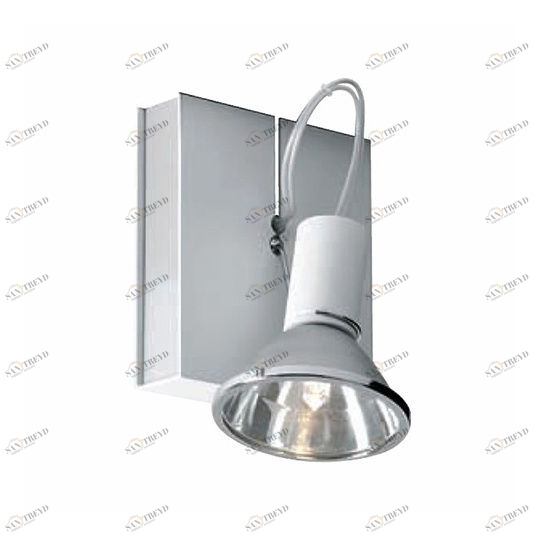 Светильник настенно-потолочный белый Fabbian D85G0301 FABBIAN  00-3882600 Белый 