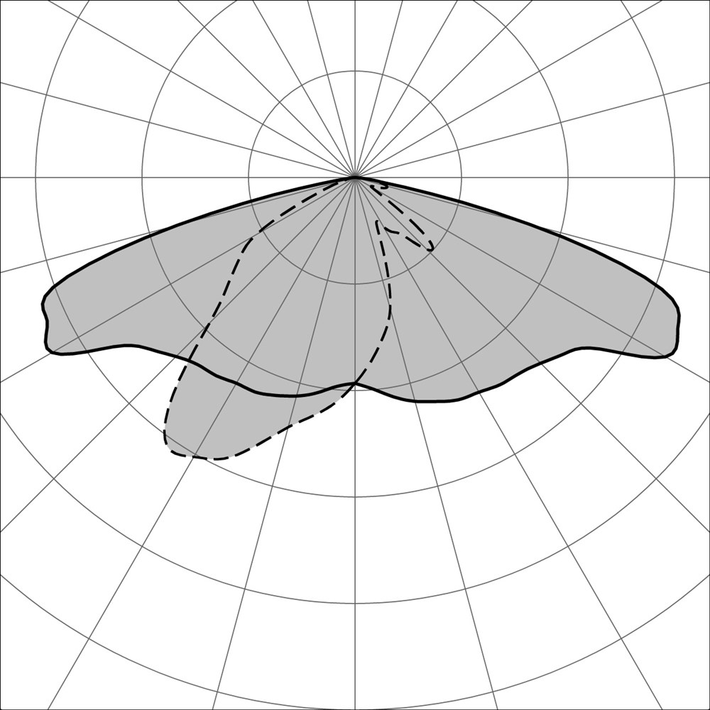 Maestro SP Ghidini Maestro SP .05 Темно-Cерый (Матовый)  - Вид №3