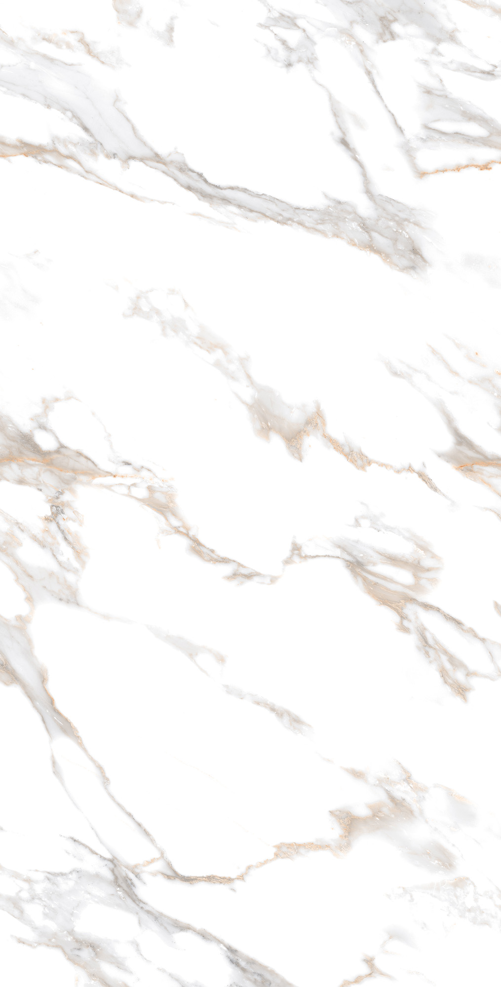 CALACATTA GOLD ARCADIA CERAMICA CR4019-A - Вид №2