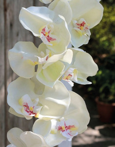2508 777 a3 Искусственная орхидея Phalaenopsis, 110 см, real touch, белая H-andreas