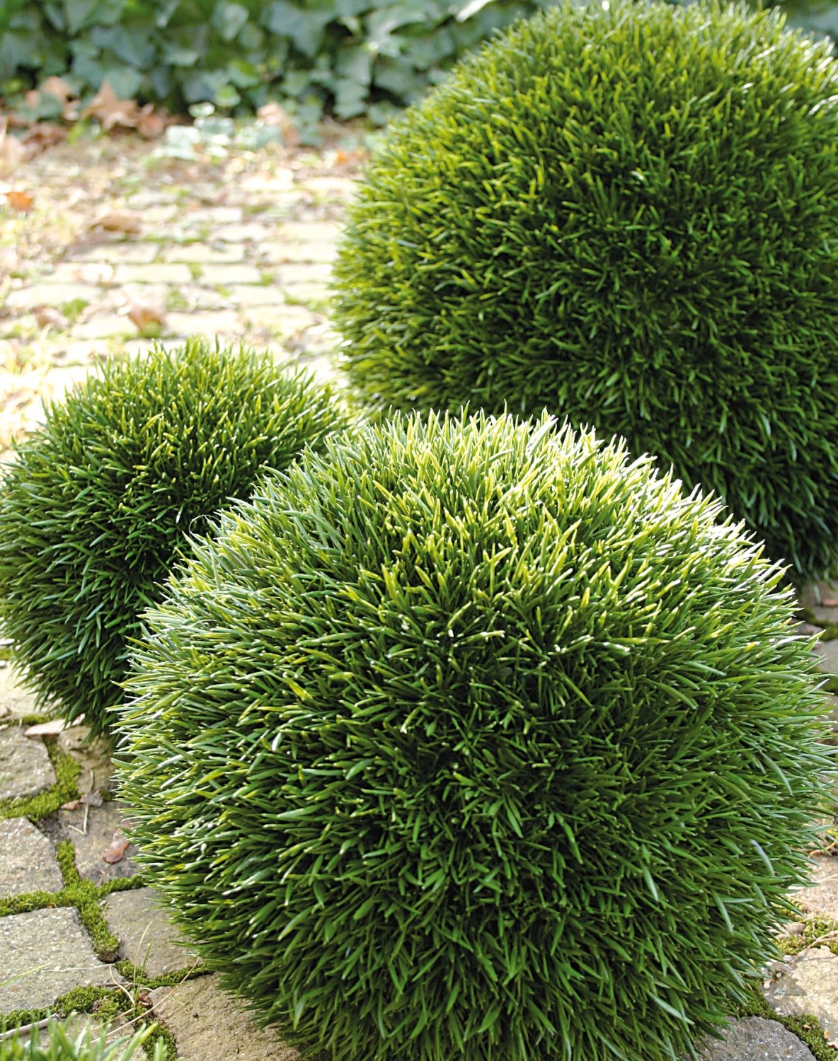 4886 883 a3 Пластиковый мяч для травы, синтетический материал, Ø 43 см, зеленый H-andreas  - Вид №1