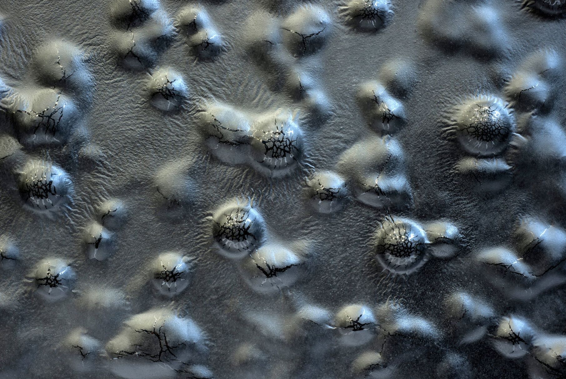 Декоративная стеклянная панель PlusObject CUPRUM O ARCH-00050994 - Вид №1