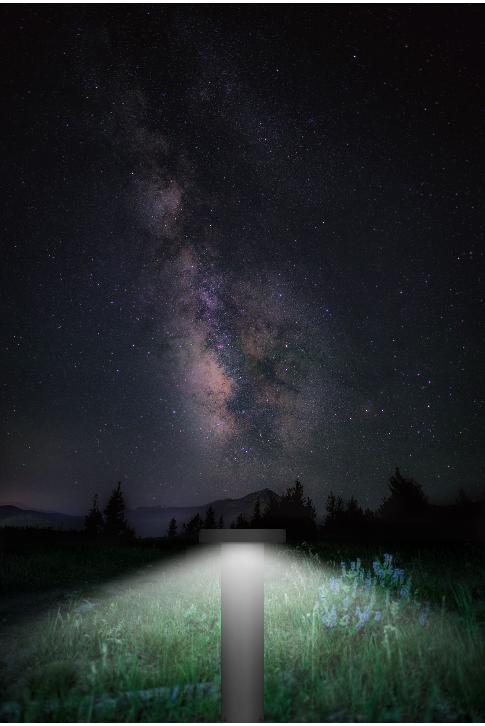 Алюминиевый светодиодный световой столб TARGETTI MRS BO ARCH-00144584 - Вид №2