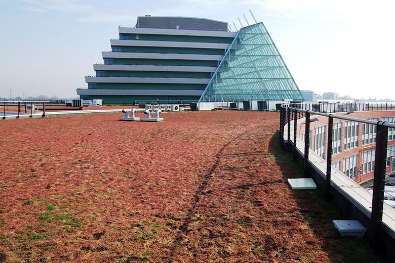 Geoplast Система садовой крыши sun-id-1482975 - Вид №6