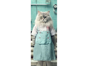 Наклейка на дверь