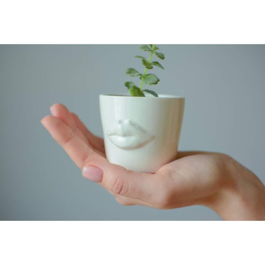 Набор для выращивания Eco мини-кашпо «Губы» ЭКОЧЕЛОВЕКИ MIN101 - Вид №1