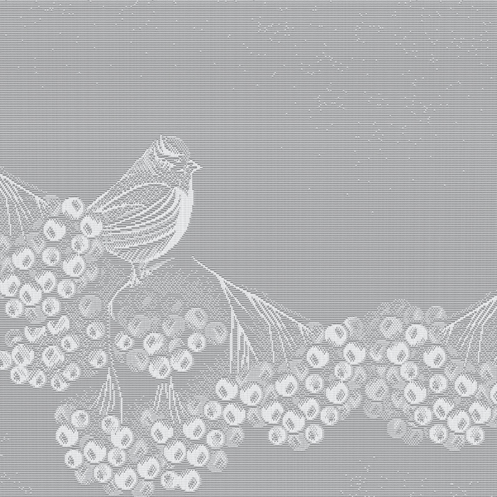 85276014 Тюль для кухни "Снегири" 200x165 см цвет белый Santreyd  - Вид №3