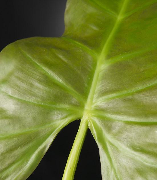 VGnewtrend Искусственное растение из полиэстера  1040800.60  - Вид №1